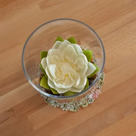 Dunes 1 05 Casa de Férias *