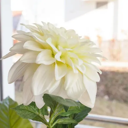 Dunes 1 05 Casa de Férias *