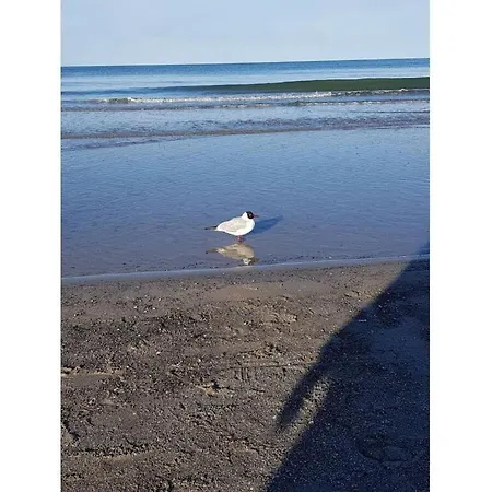 Casa de Férias Dunes 1 05 *